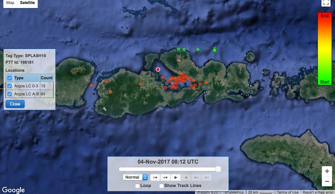 Giti_Tire_佳通轮胎_newsdetail_6117_2017122214633793