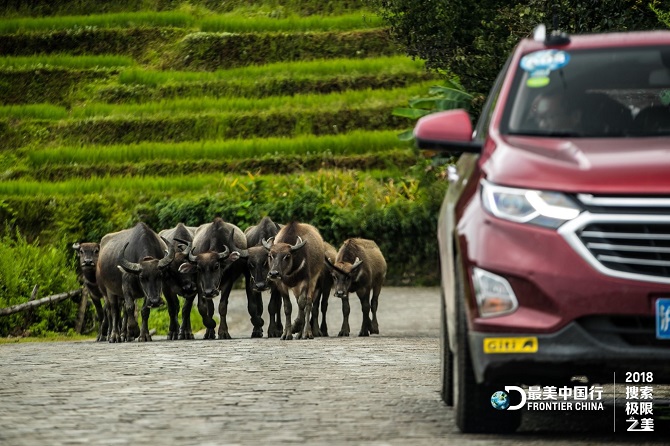 Giti_Tire_佳通轮胎_newsdetail_6156_20188984043582